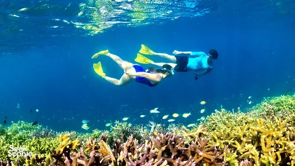 Private Gili Kondo Snorkelling Trip: Mangrove Wonders, Crystal-Clear Waters & Serene Escapes!