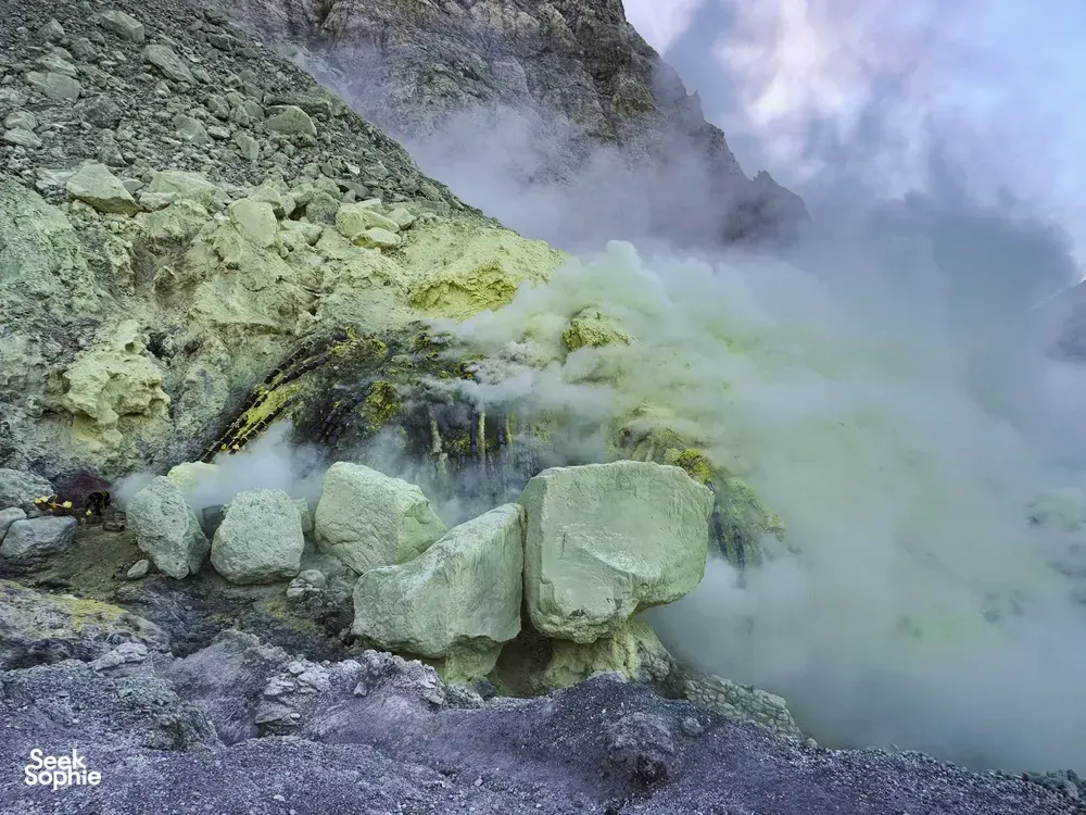 Seek Sophie option picture