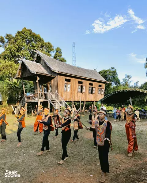 5D5N Orangutan Houseboat Safari + Dayak Village Trek