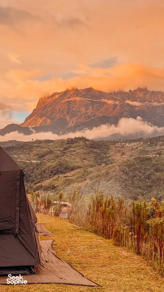 Seek Sophie option picture