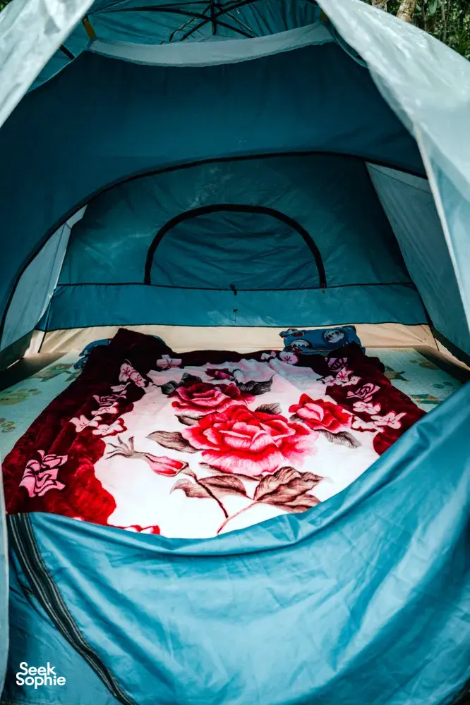 Seek Sophie option picture