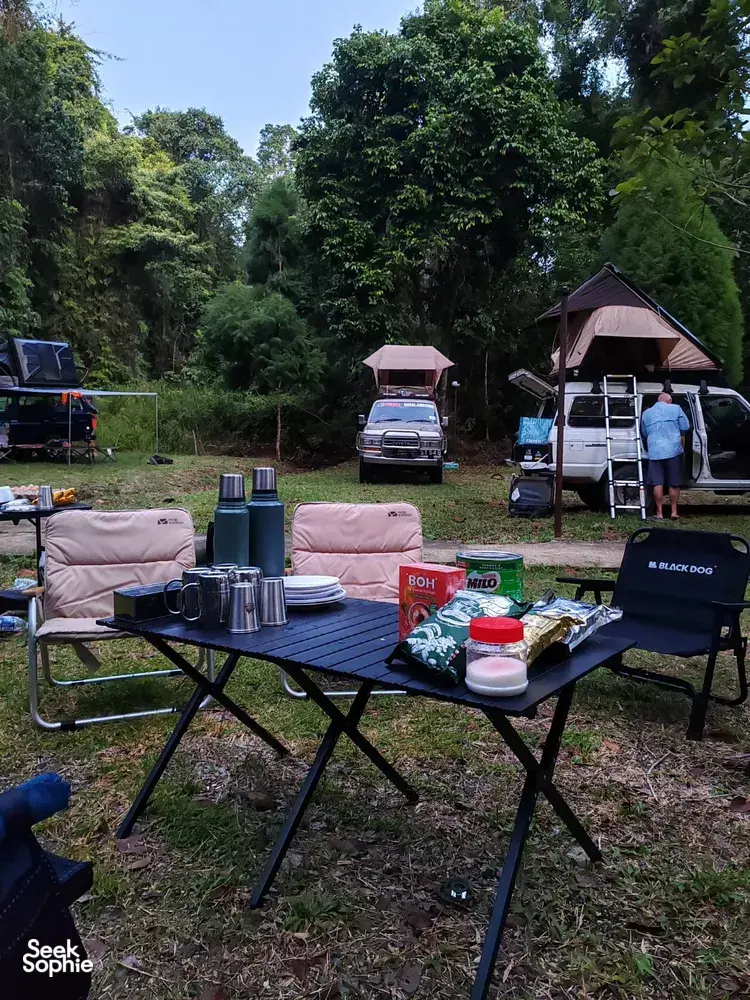 Seek Sophie option picture