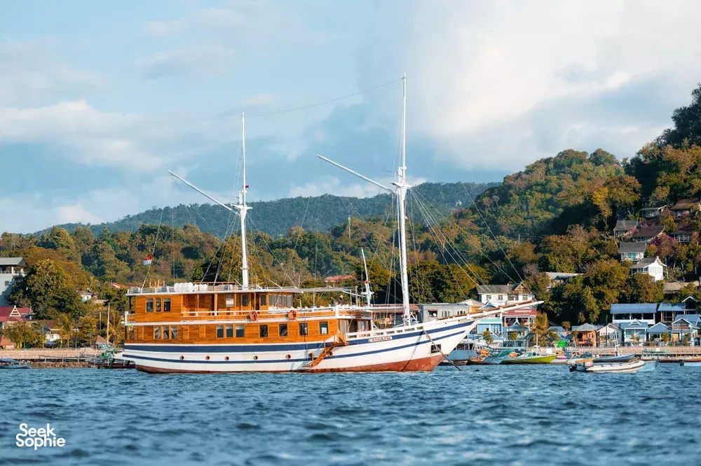 Seek Sophie option picture