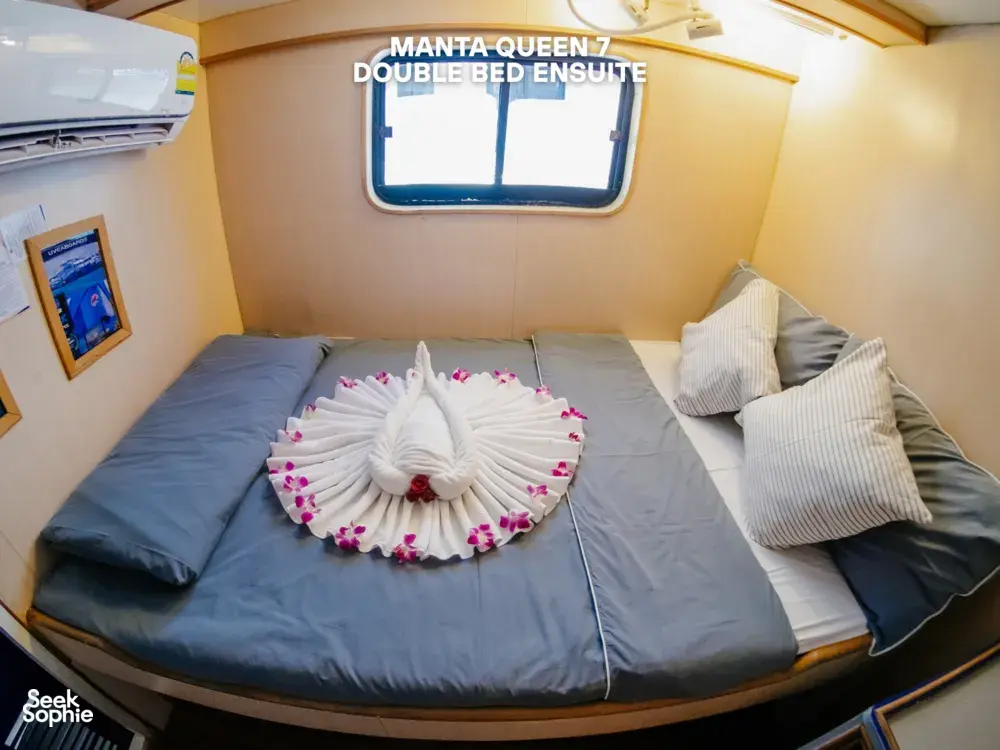 Seek Sophie option picture