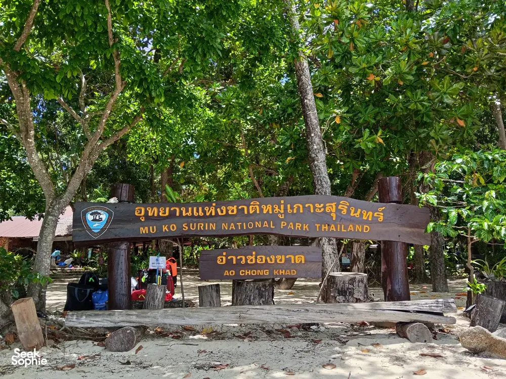 Seek Sophie option picture