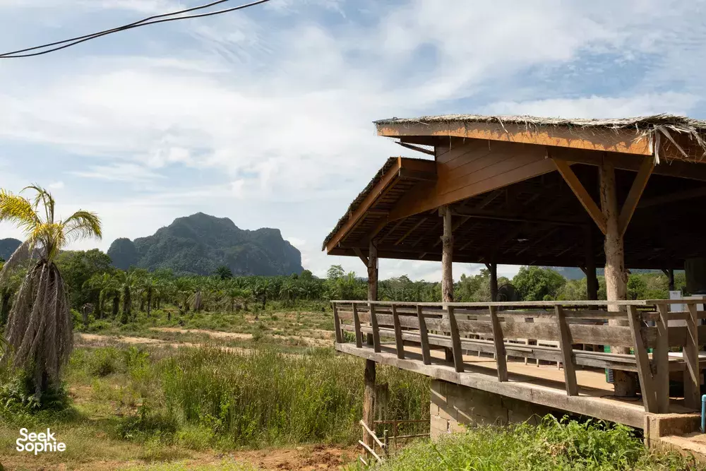 Seek Sophie option picture