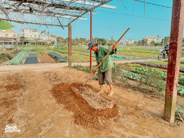 Hoi An Countryside on Bike + Home-cooked Food with Local Family
