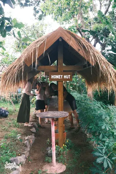 Thatched honey hut at Saifana Organic Farm on Lombok with a small group gathered in the garden near stingless bee boxes