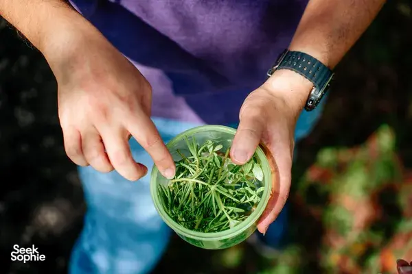 [SOLD OUT] A Walk Through Singapore’s Wildest Garden