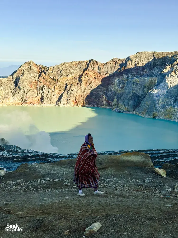 Seek Sophie option picture