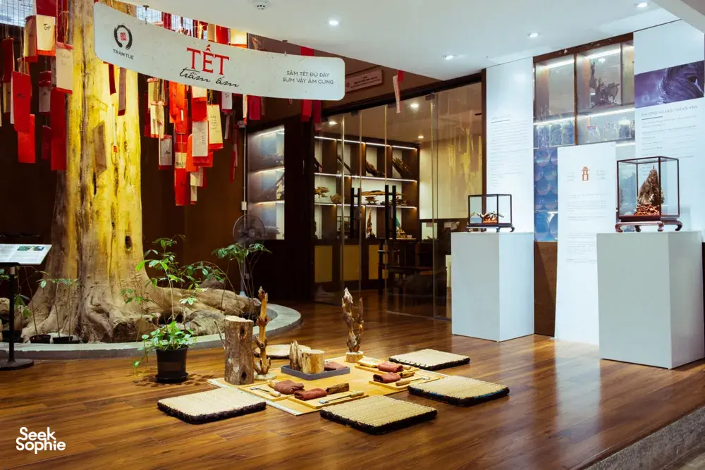 Museum-style exhibition in Hanoi showing artefacts and sliced agarwood samples under glass cases, with red festive banners