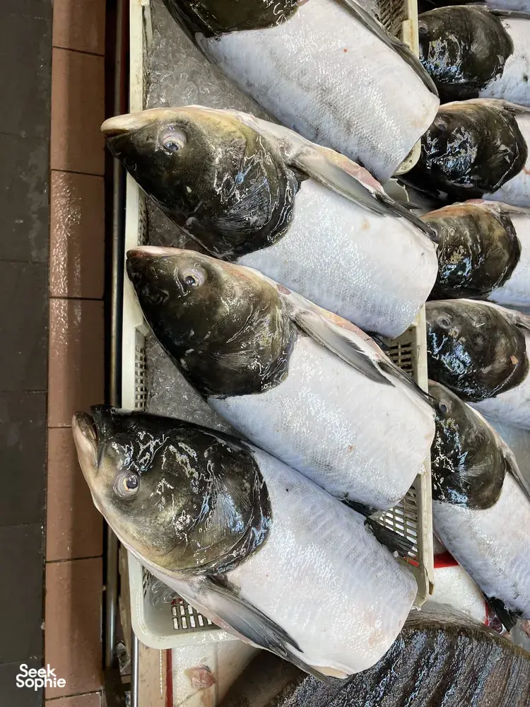 Ikan segar disusun bersebelahan di gerai pasar di Chinatown, Singapura, dengan ikan seekor berwarna gelap di atas ais