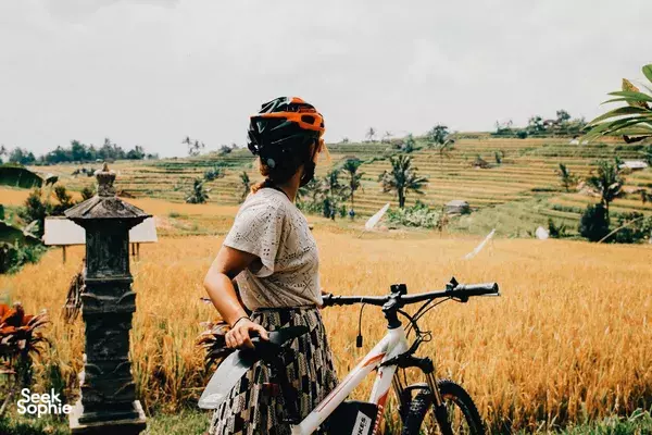 Cyclist with an orange helmet riding through golden farmland and terraced rice fields in Tabanan, Bali