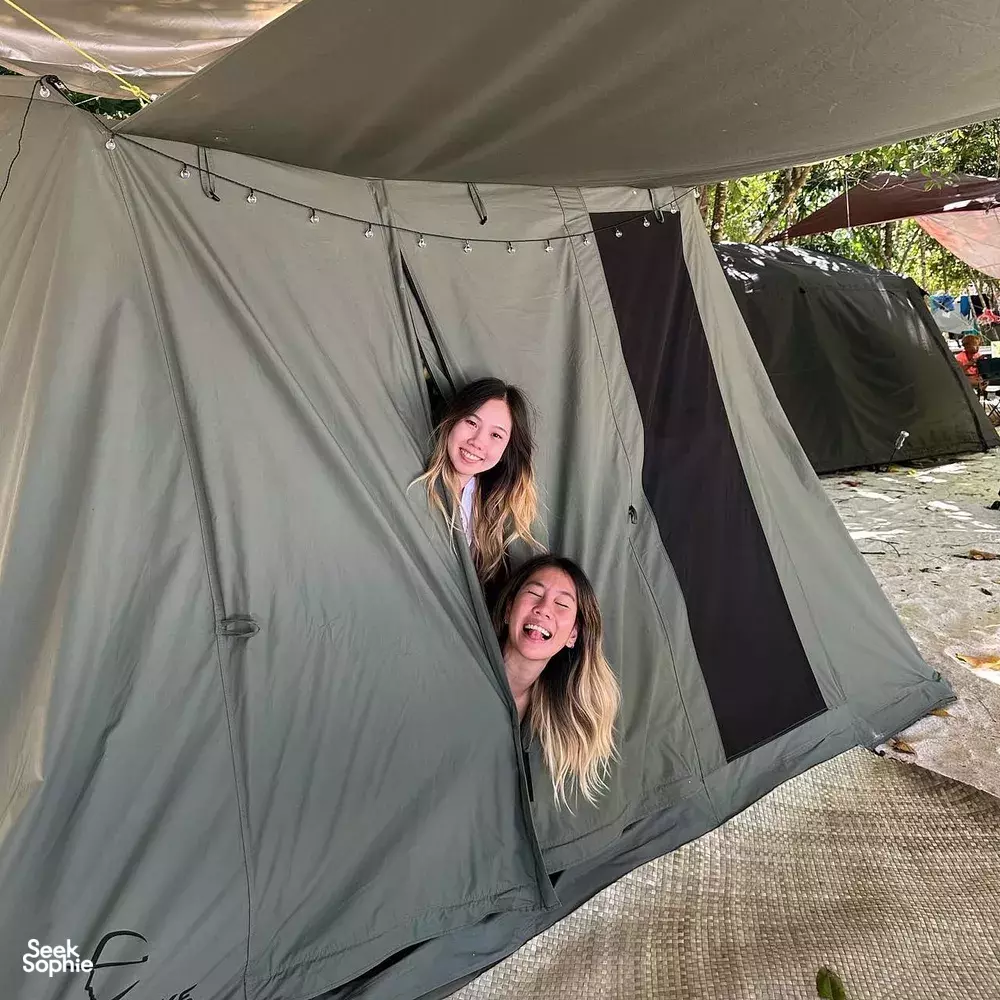 Seek Sophie option picture