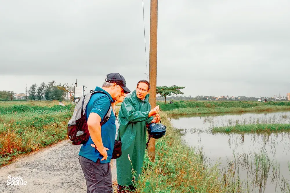 Seek Sophie option picture