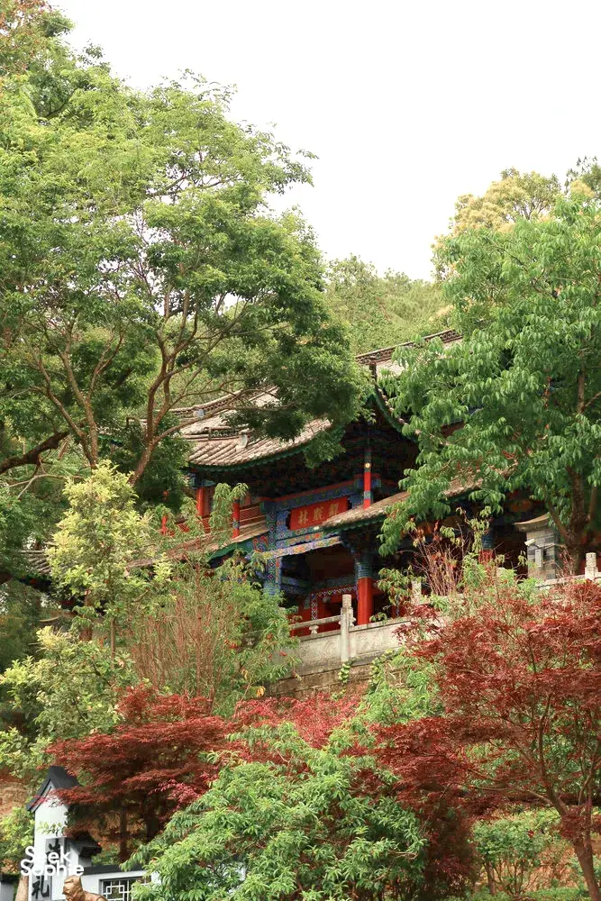 Colourful Naxi pavilion roofs tucked into a landscaped garden in Shuhe Ancient Town, Lijiang, surrounded by tall trees