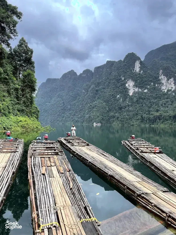 Seek Sophie option picture