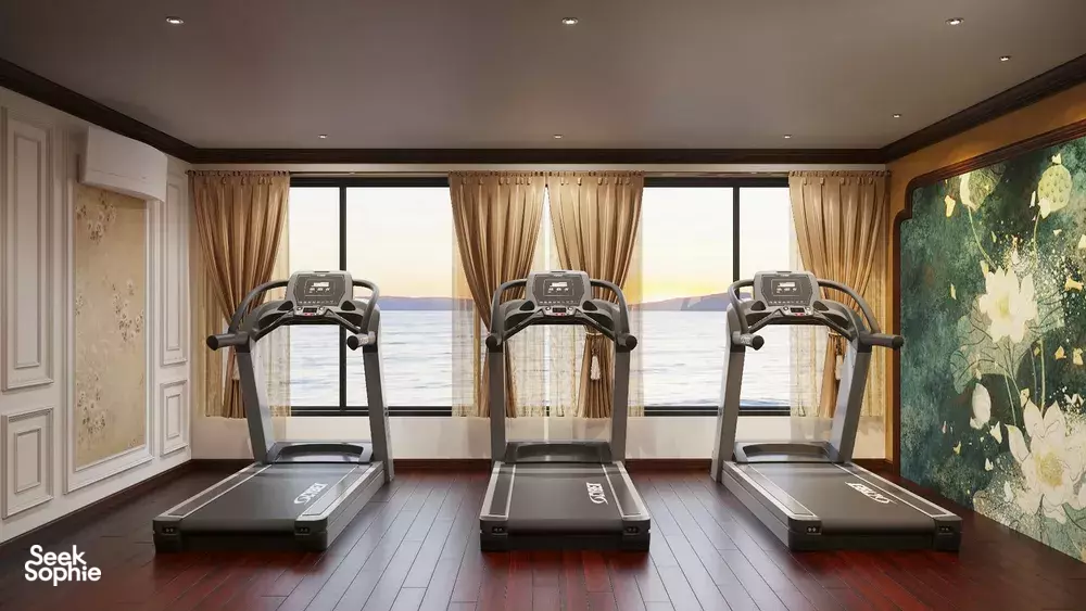 Seek Sophie option picture