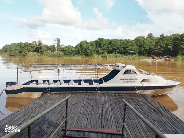1 Day Kinabatangan River Safari