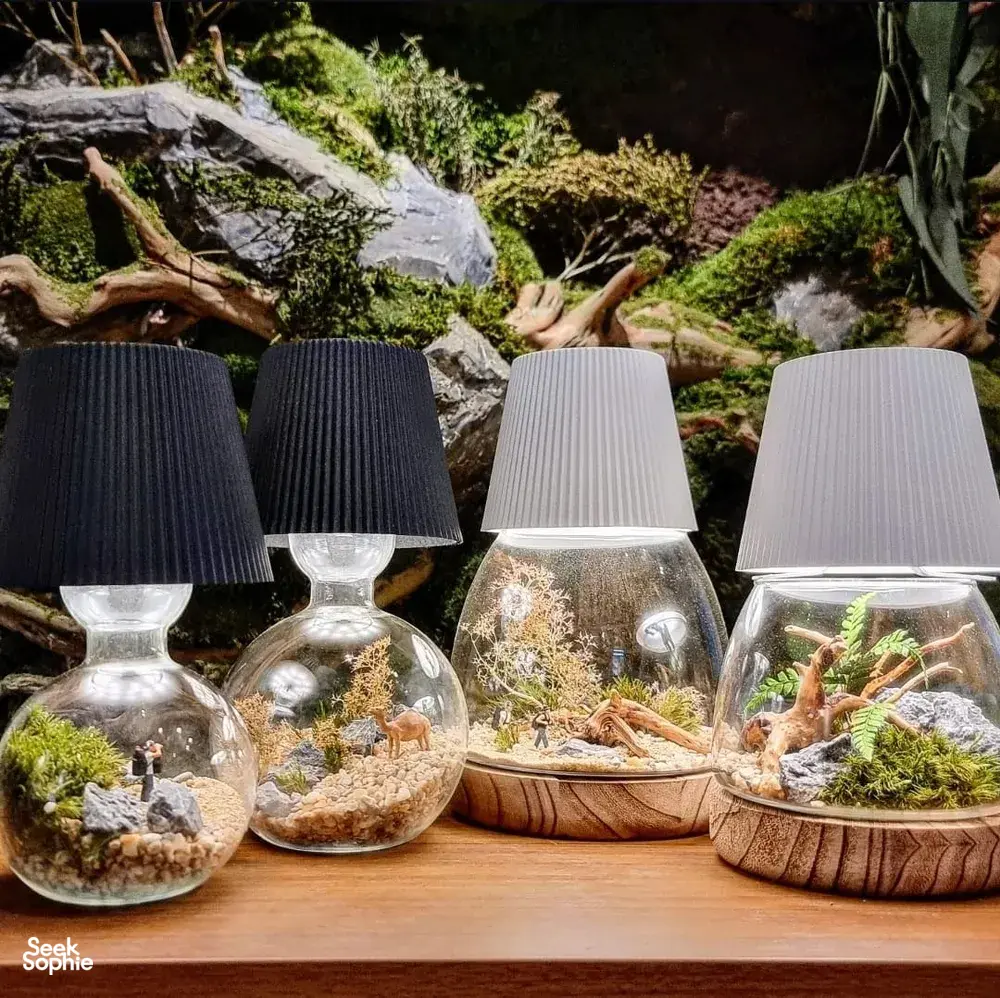 Seek Sophie option picture