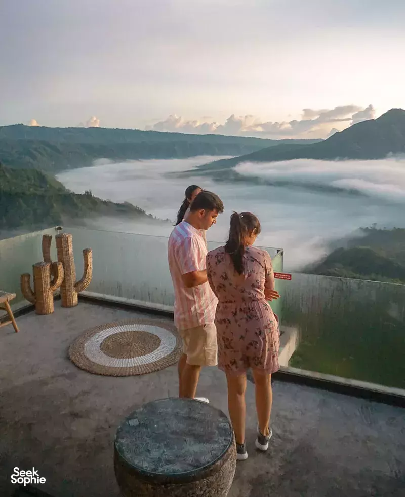 Seek Sophie option picture