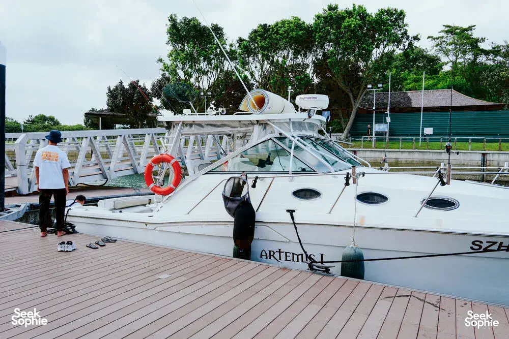 Seek Sophie option picture