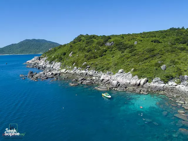 Seek Sophie option picture