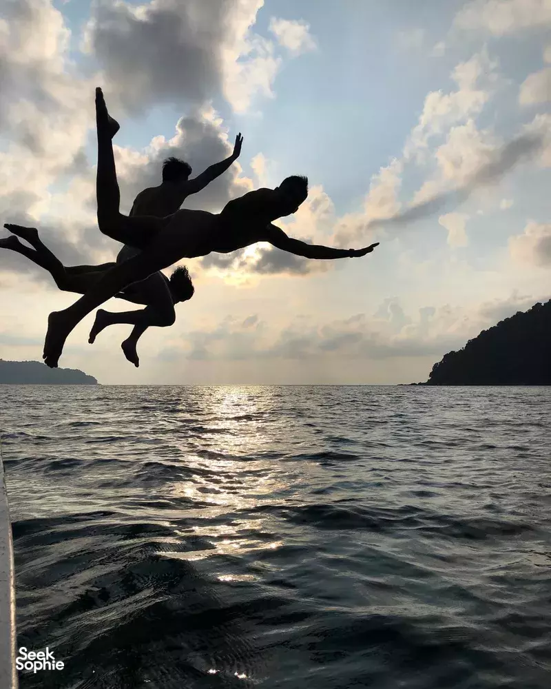 Seek Sophie option picture