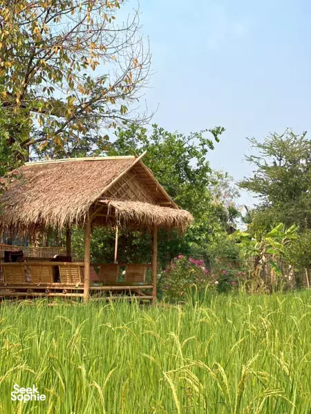 Thai Granny Cooking at a Peaceful Farm Retreat
