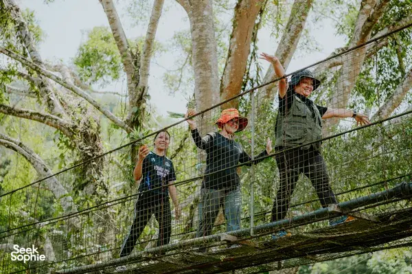 Travellers crossing a rope bridge between tall rainforest trees during a Dusun village cultural visit in Kota Kinabalu