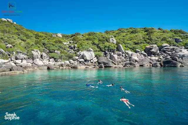 Seek Sophie option picture