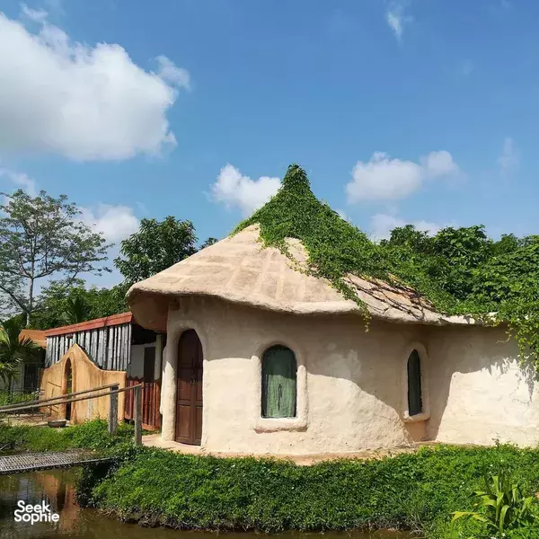 1日自然体验 | 泥屋建造、正念冥想与植物染布