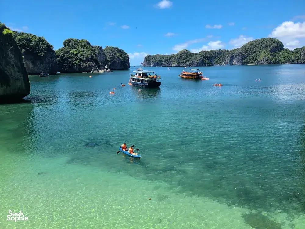 Seek Sophie option picture