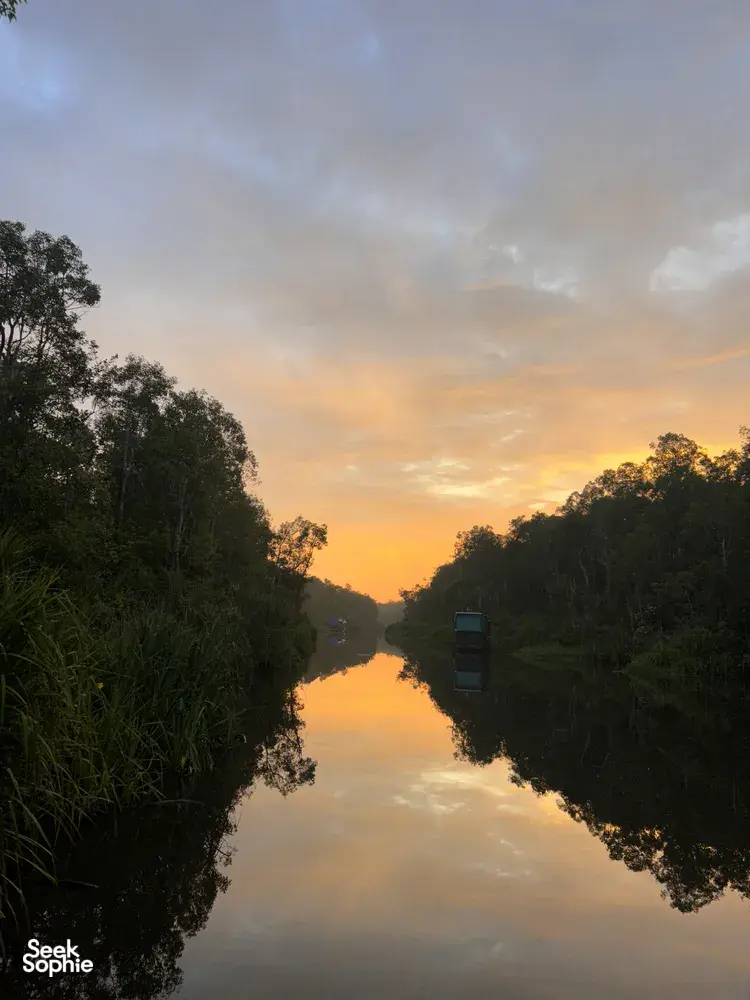 Seek Sophie option picture