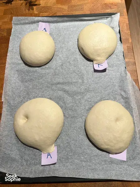 Unbaked shio pan dough balls on lined baking paper labelled into portions during prep for workshops in Singapore