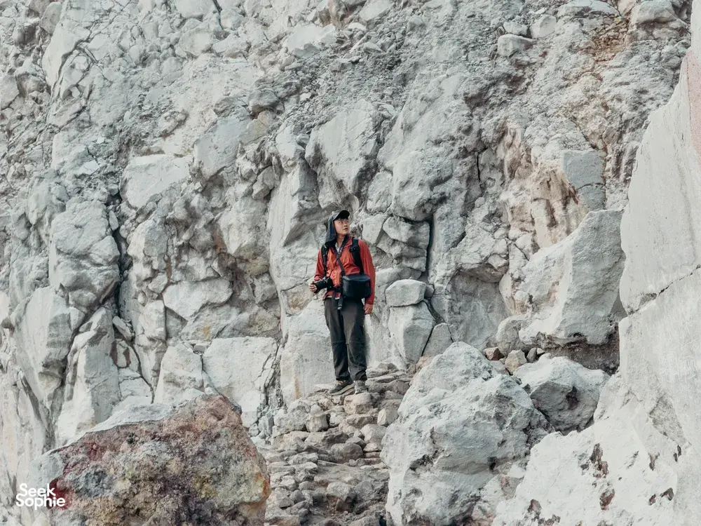 Seek Sophie option picture