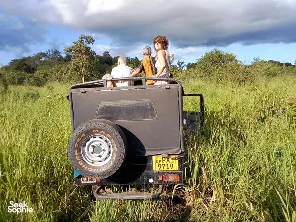 Kaudulla Private Morning Safari (Pick up from Sigiriya or Habarana)