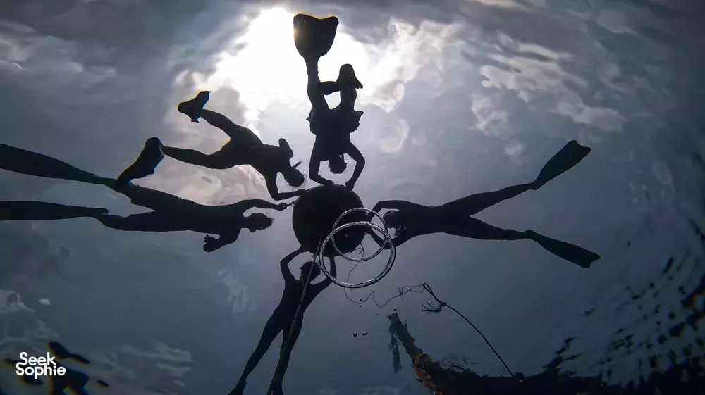 Seek Sophie option picture