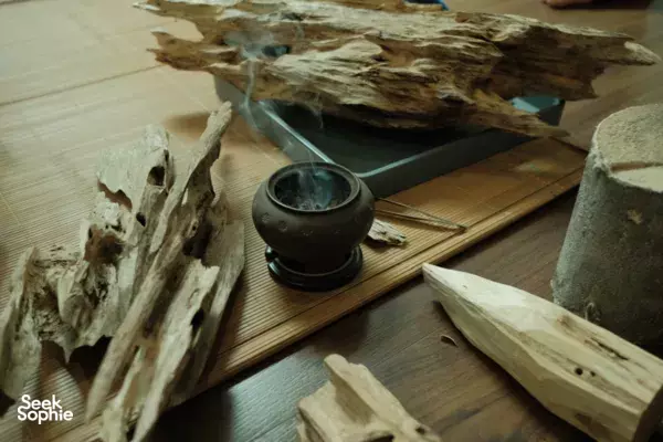 Rare Agarwood Tour | The Scent More Valuable than Gold
