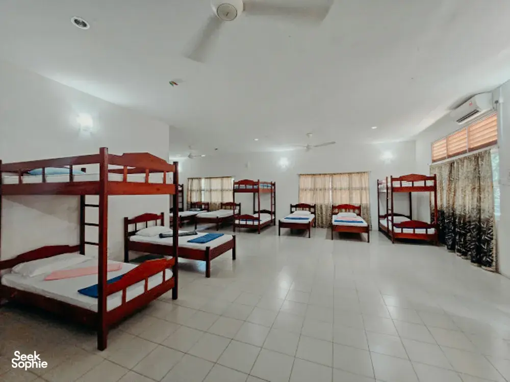 Seek Sophie option picture