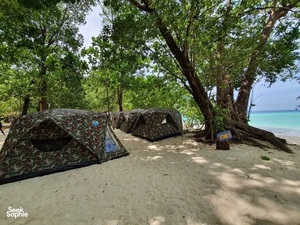 Seek Sophie option picture