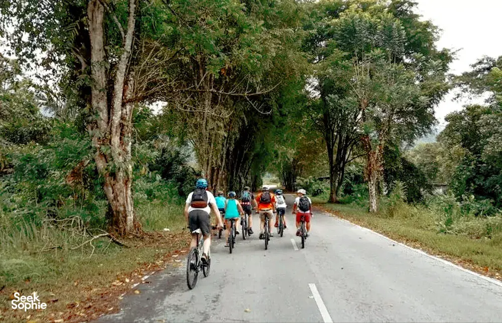 Group of cyclists riding a narrow rainforest road through dense trees near Kuching during a jungle cycling adventure