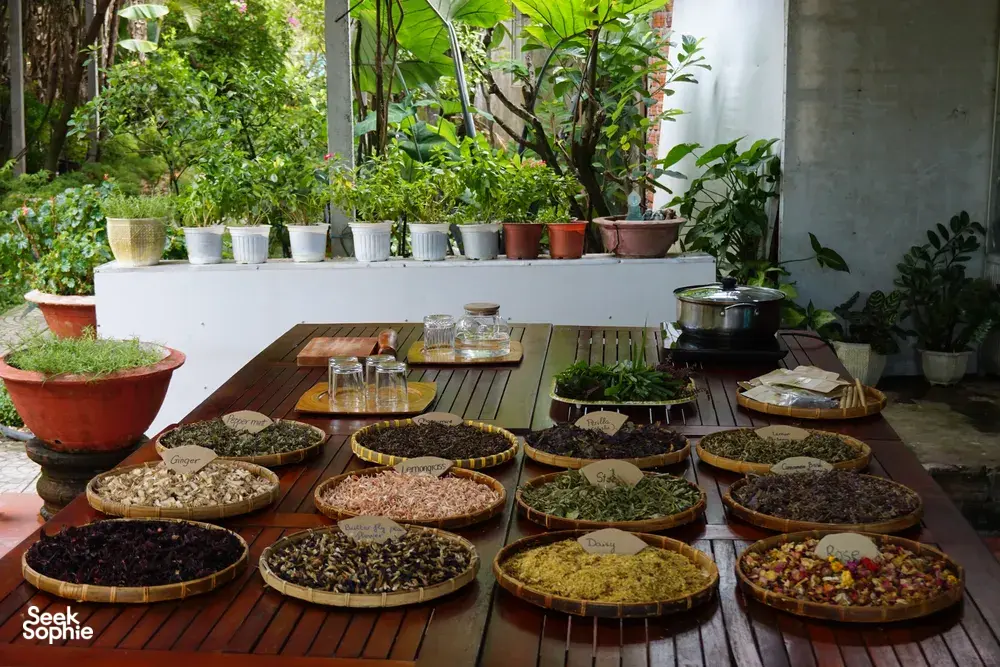 Seek Sophie option picture