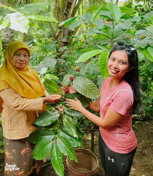 A Coffee Journey with Yogyakarta's Artisan Coffeemaker