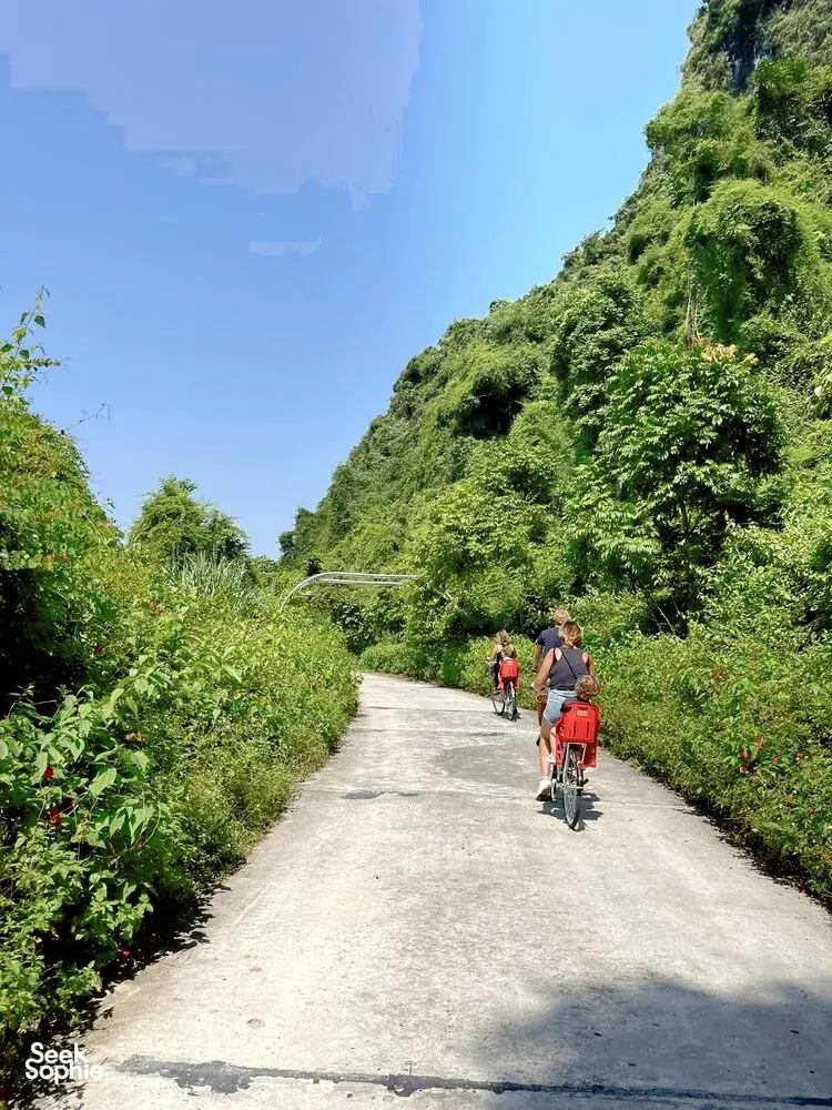 Seek Sophie option picture