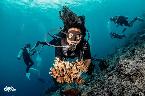 Pengalaman Penanaman Karang 3 Hari di Gili Trawangan
