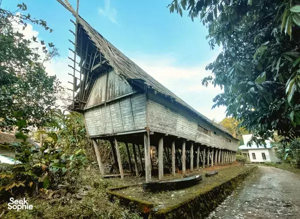 5D5N Orangutan Houseboat Safari + Dayak Village Trek