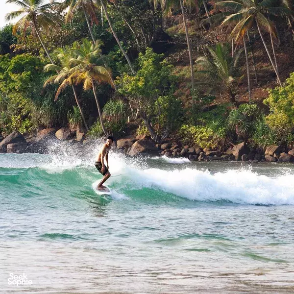 Surfer carving through a foamy wave off Weligama, with palm-covered coastline and greenery lining the shore under clear skies