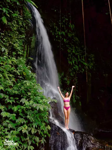 Hidden Ubud Waterfalls with Lunch Overlooking Falls!