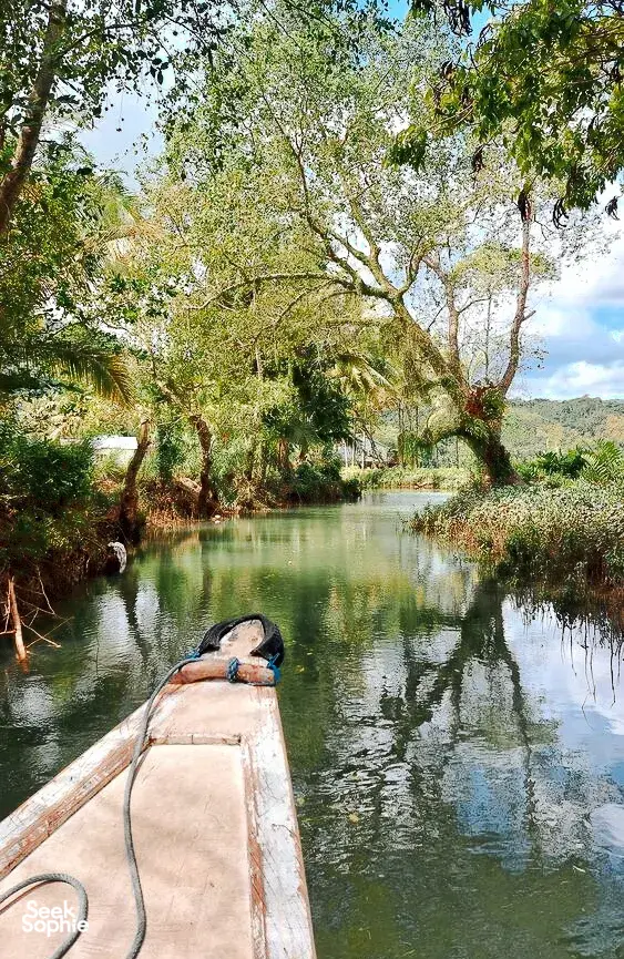 View from a boat gliding through calm mangrove waters for a day trip visiting hidden channels and villages in Labuan Bajo